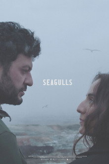 Seagulls