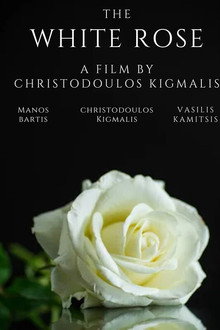 The White Rose