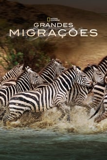 Poster da série Grandes Migrações