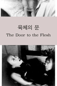 육체의 문