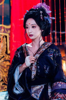 公主无诏