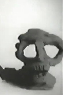 Clay or The Origin of Species
