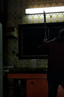 Zobreviviendo