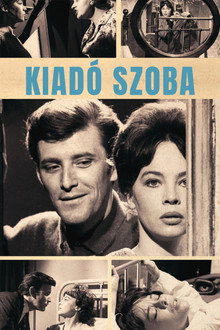 Kiadó szoba