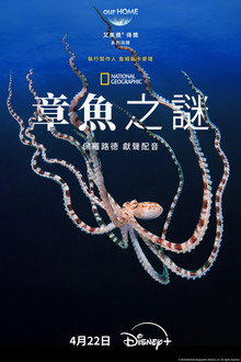 第 1 季