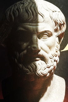 Aristotle: From Logic to Life