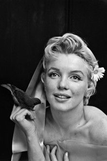 Photo of Marilyn Monroe