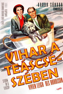 Vihar a teáscsészében