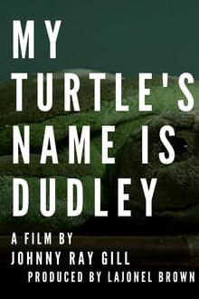 Poster do filme My Turtle's Name Is Dudley