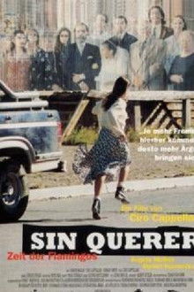 Sin querer