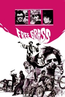 Poster do filme O Mundo Selvagem dos Hippies