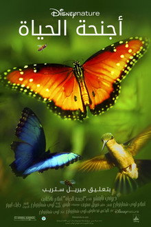 Wings of Life
