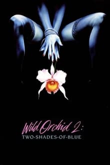 Wild Orchid II: Two Shades of Blue movie poster