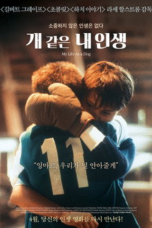 개 같은 내 인생