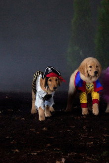 Spooky Buddies