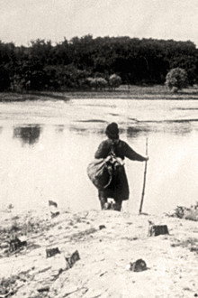 Заклеймённые