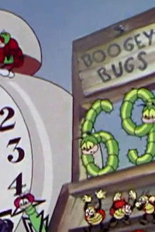 Football Bugs