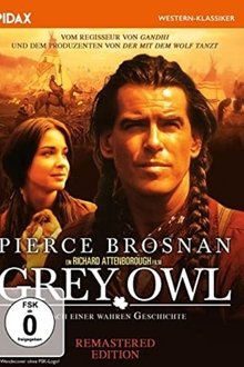 Grey Owl