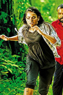 ശിഖാമണി