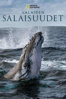 Valaiden salaisuudet