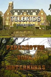 Pepernoten voor Sinterklaas