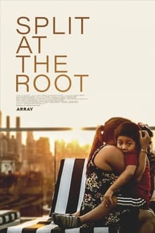 Poster do filme Split at the Root