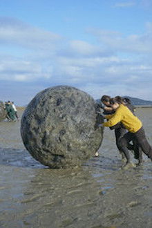 Siren: Survive the Island - Season 1