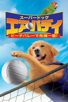 スーパードッグ　エア・バディ／ビーチバレーで危機一髪！
