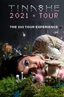 The 333 Tour Experience movie poster