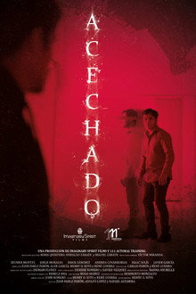 Acechado