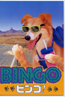 Bingo