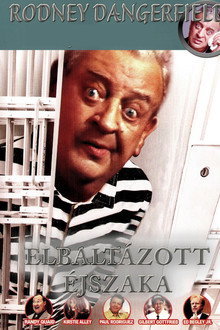 Elbaltázott éjszaka
