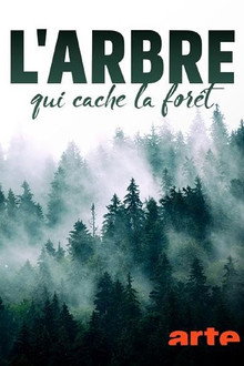 L'arbre qui cache la forêt