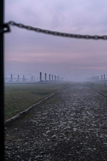 Auschwitz: Countdown to Liberation