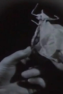 Oczekiwanie