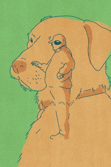 Old Dog
