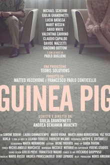Guinea Pig