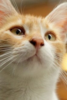Photo of Sari