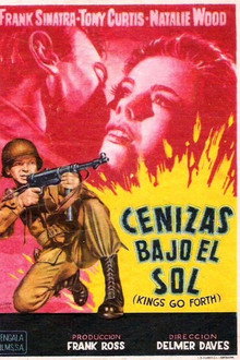 Cenizas bajo el sol