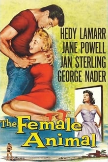 Poster do filme The Female Animal
