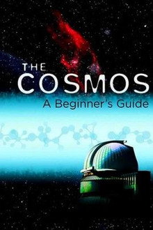 The Cosmos: A Beginner’s Guide