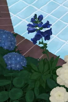 Forget Me Not