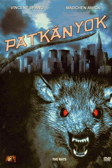Patkányok