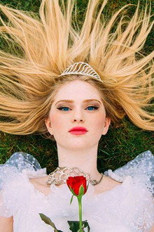 The Enchanted Rose