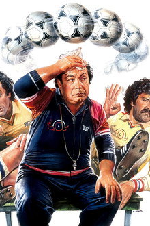 L'allenatore nel pallone