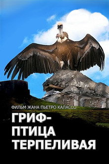 L'avvoltoio può attendere
