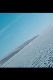 Polar Life