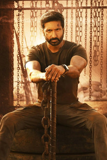సీటీమార్