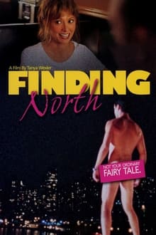 Poster do filme Finding North