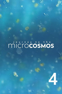 Сезон 4